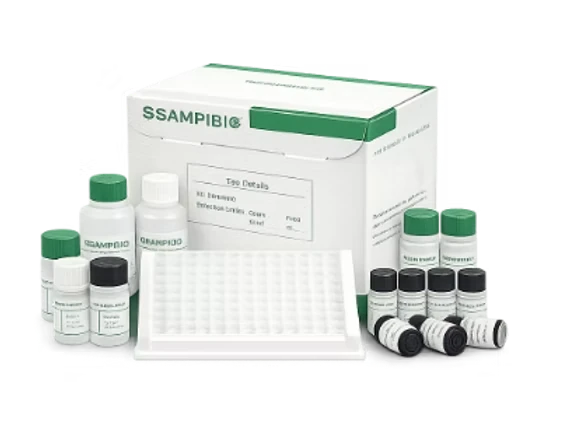 Mycotoxin Testing